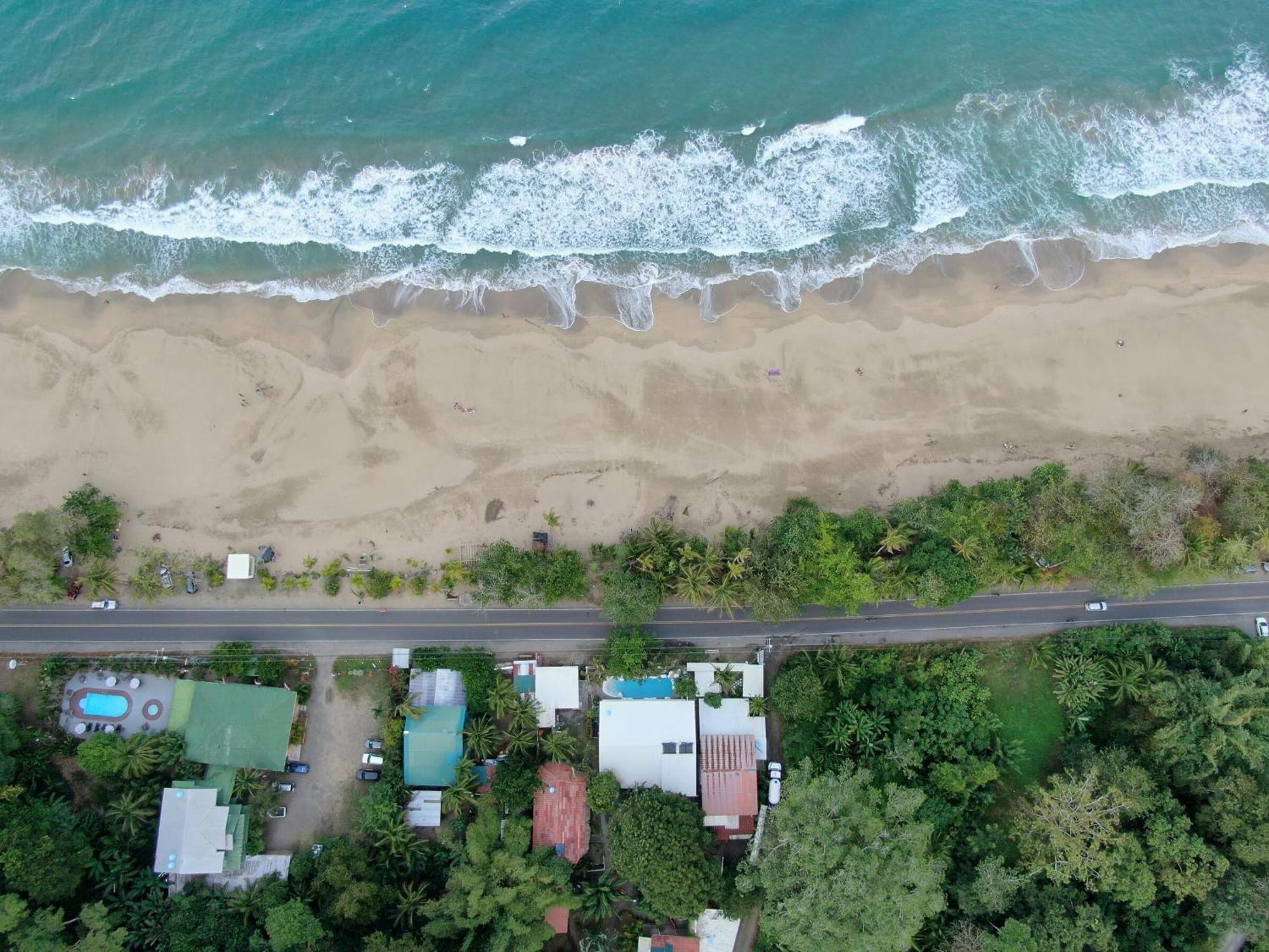 Cariblue Beach And Jungle Resort Puerto Viejo de Talamanca Habitación foto