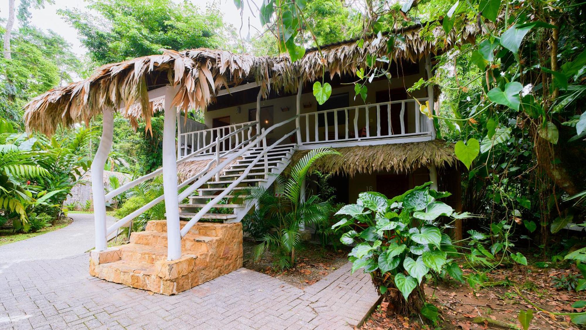 Cariblue Beach And Jungle Resort Puerto Viejo de Talamanca Habitación foto