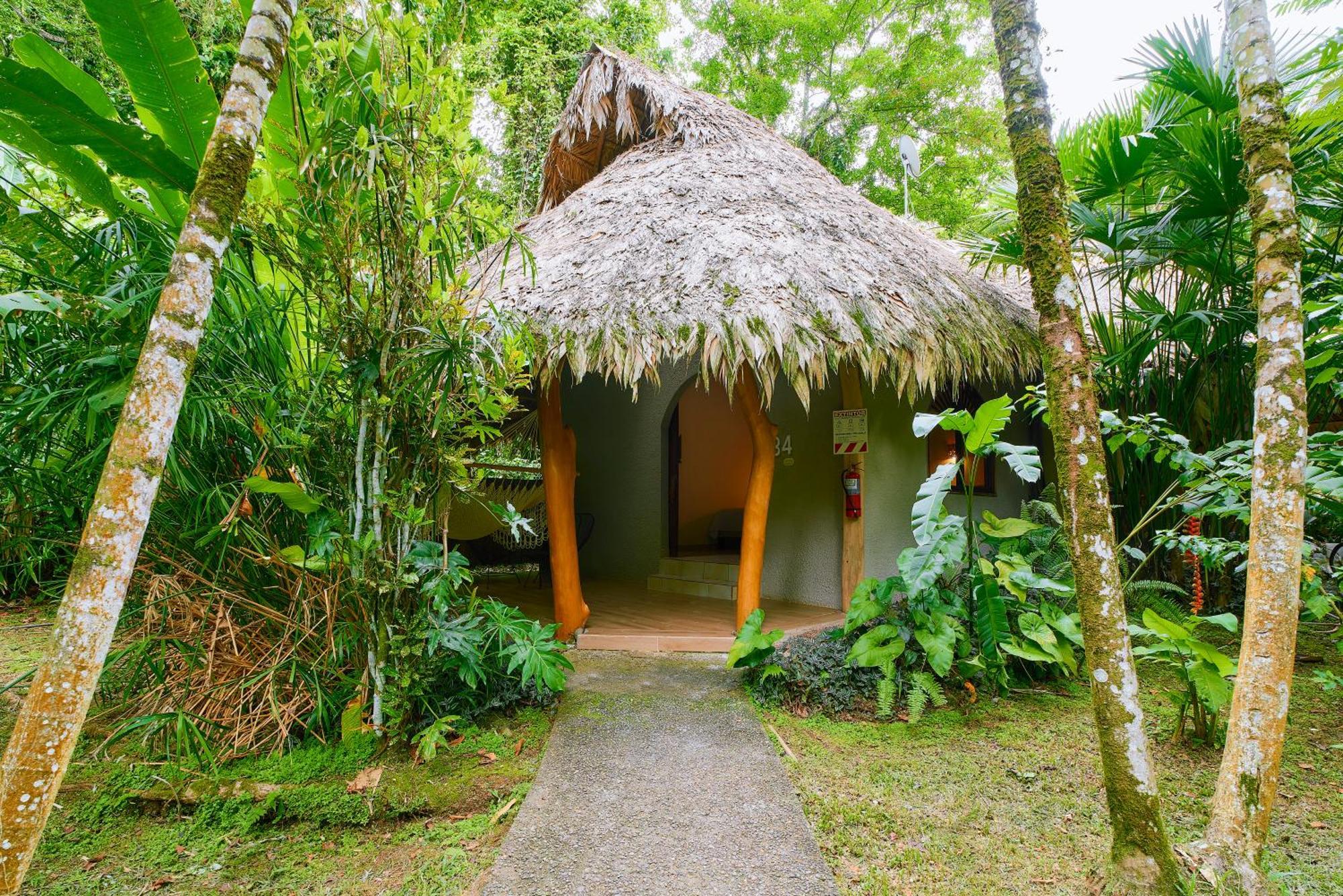Cariblue Beach And Jungle Resort Puerto Viejo de Talamanca Habitación foto