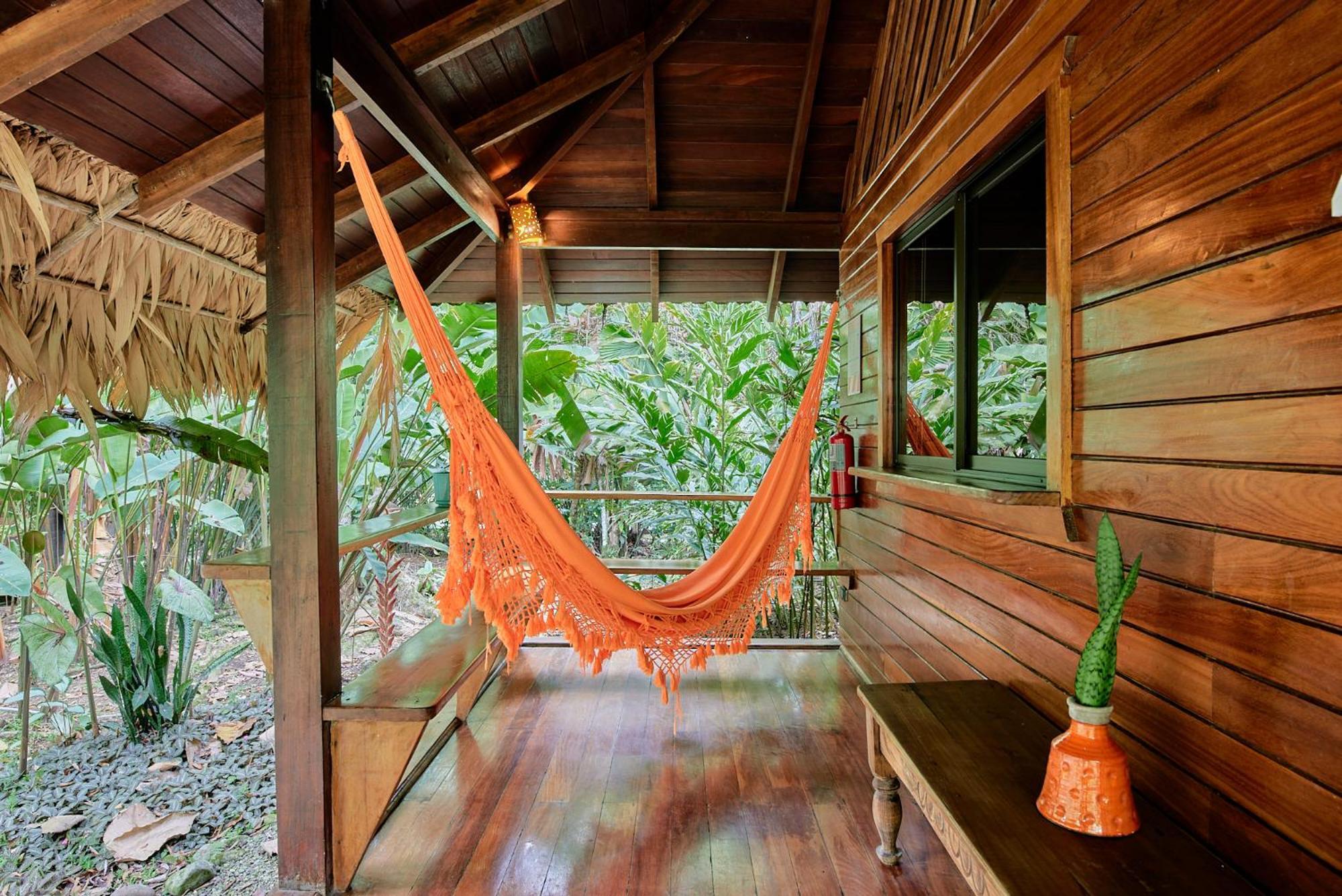 Cariblue Beach And Jungle Resort Puerto Viejo de Talamanca Habitación foto