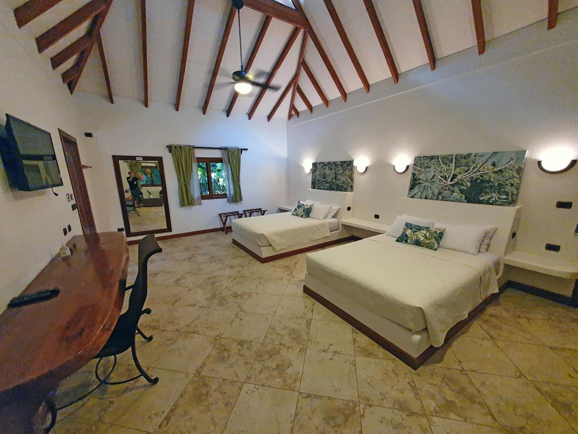 Cariblue Beach And Jungle Resort Puerto Viejo de Talamanca Habitación foto