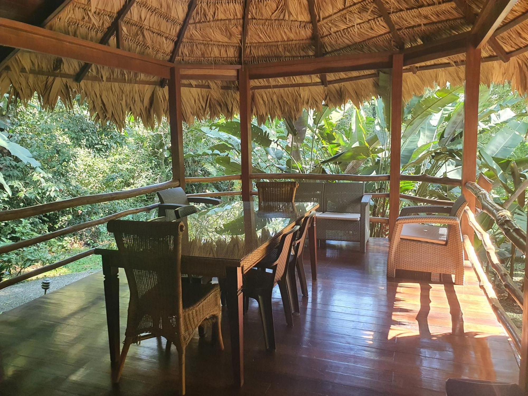 Cariblue Beach And Jungle Resort Puerto Viejo de Talamanca Habitación foto