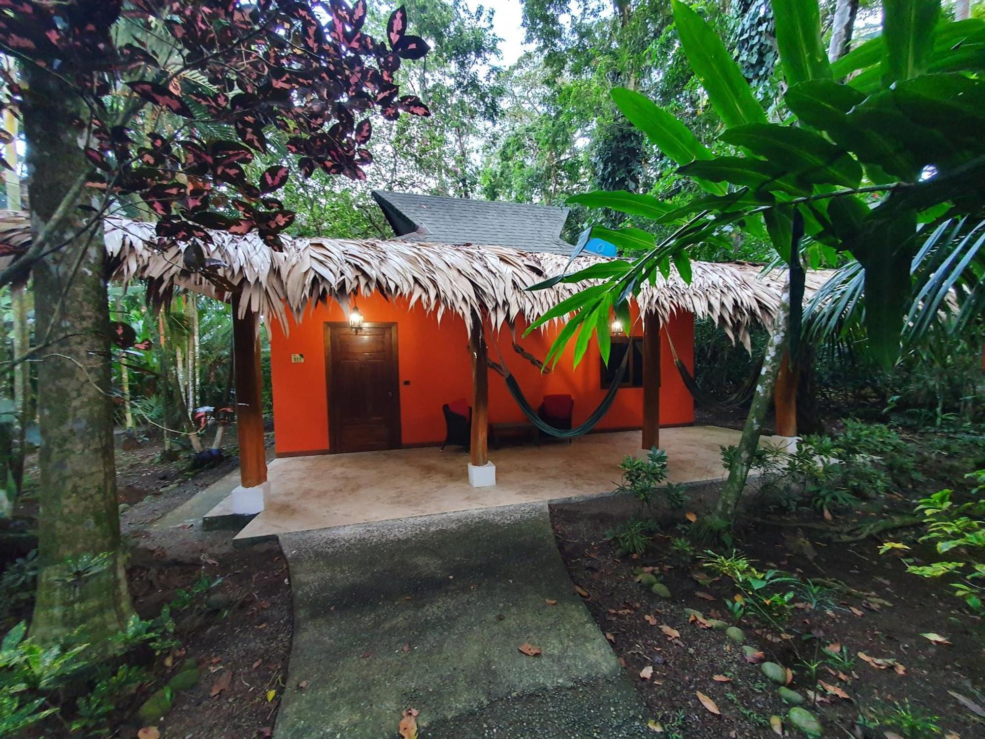 Cariblue Beach And Jungle Resort Puerto Viejo de Talamanca Habitación foto